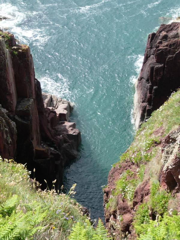 K800_P1000203.JPG - Wanderung Manorbier Bay, Pembrokeshire