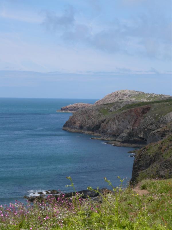 K800_P1000258.JPG - Wanderung St. David's Head, Pembrokeshire