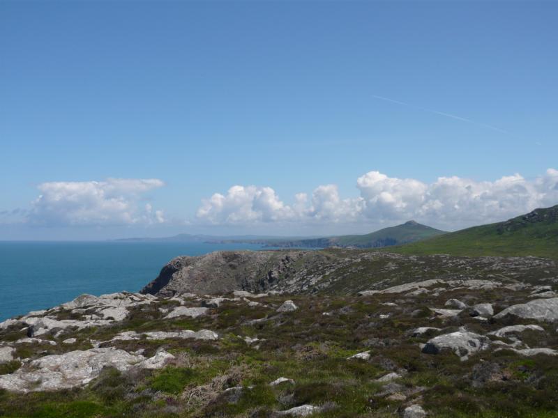 K800_P1000296.JPG - Wanderung St. David's Head, Pembrokeshire