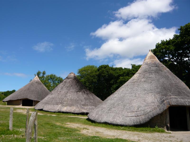 K800_P1000372.JPG - Castell Henllys, Pembrokeshire