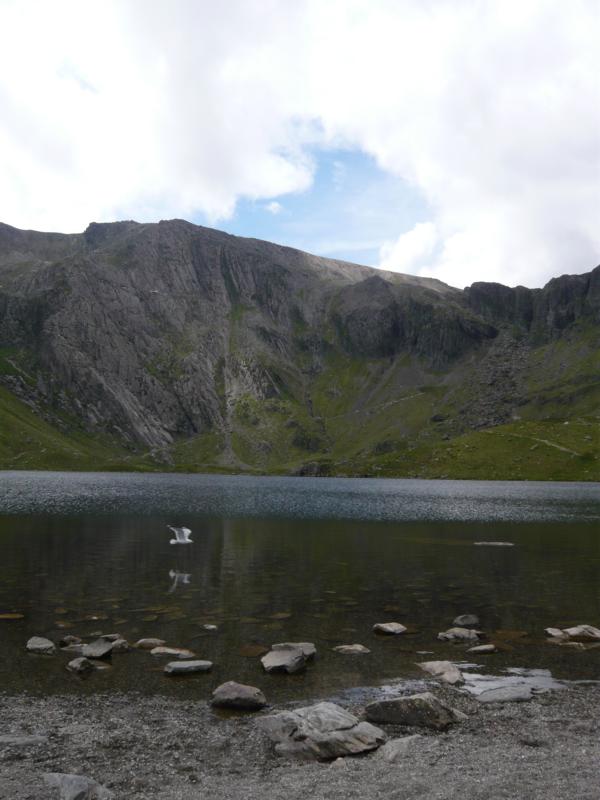 K800_P1000419.JPG - Llyn Idwal