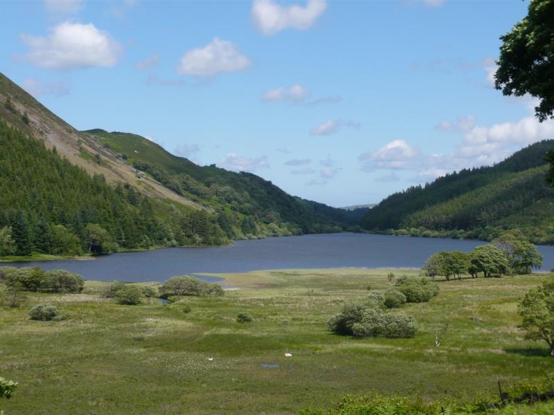 K800_P1000552.JPG - Llyn Geirionydd, Snowdonia